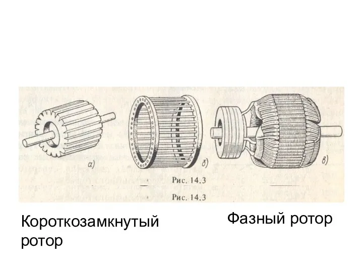 Короткозамкнутый ротор Фазный ротор