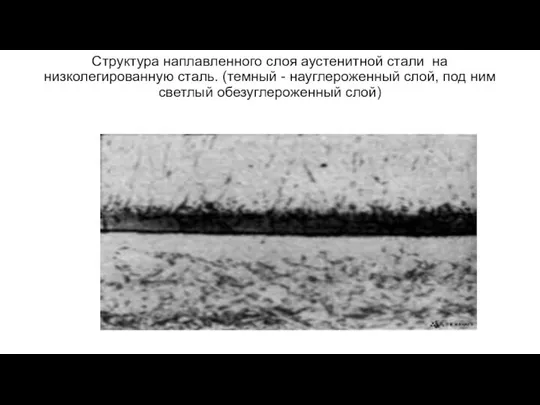 Структура наплавленного слоя аустенитной стали на низколегированную сталь. (темный - науглероженный