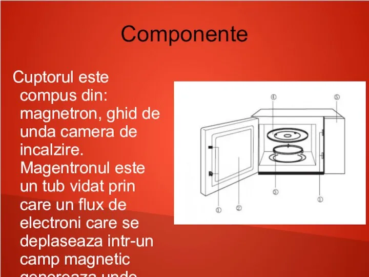 Componente Cuptorul este compus din: magnetron, ghid de unda camera de