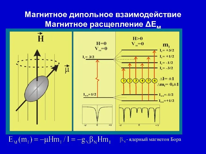 Магнитное дипольное взаимодействие Магнитное расщепление ΔЕМ