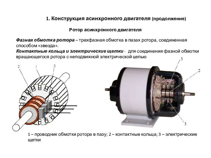 1. Конструкция асинхронного двигателя (продолжение) Ротор асинхронного двигателя Фазная обмотка ротора