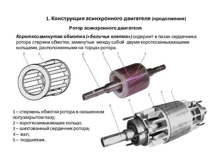 1. Конструкция асинхронного двигателя (продолжение) Ротор асинхронного двигателя Короткозамкнутая обмотка («беличья