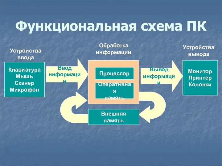 Функциональная схема ПК Клавиатура Мышь Сканер Микрофон Процессор Оперативная память Внешняя