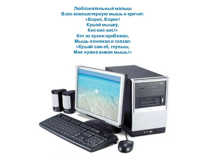 Любознательный малыш Взял компьютерную мышь и кричит: «Борис, Борис! Кушай мышку,