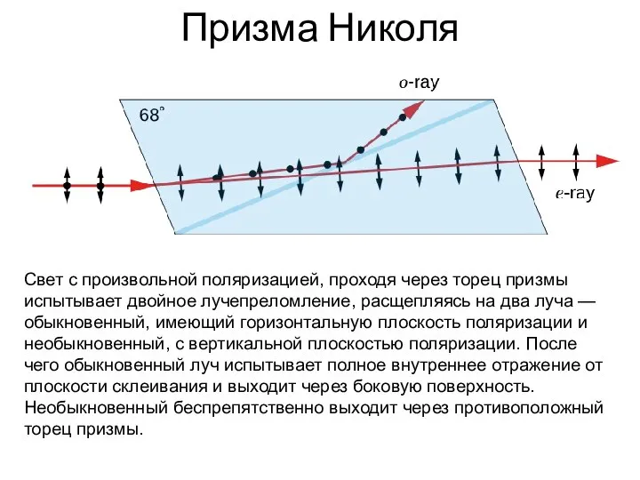 Призма Николя Свет с произвольной поляризацией, проходя через торец призмы испытывает