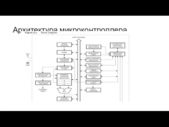 Архитектура микроконтроллера