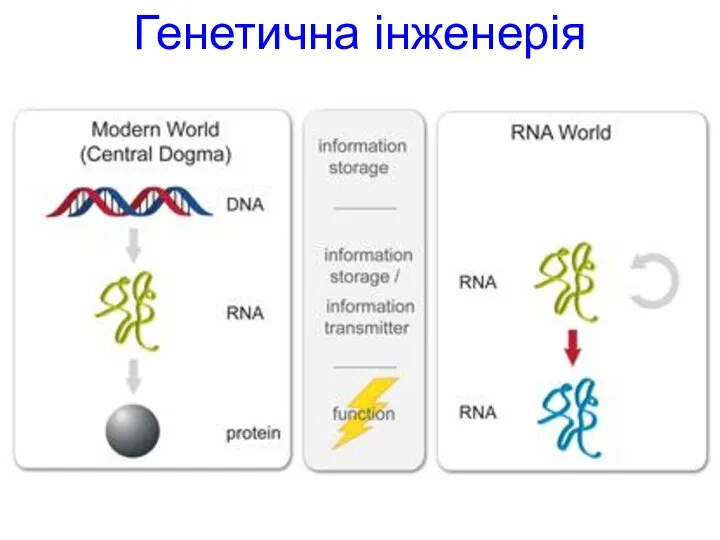 Генетична інженерія