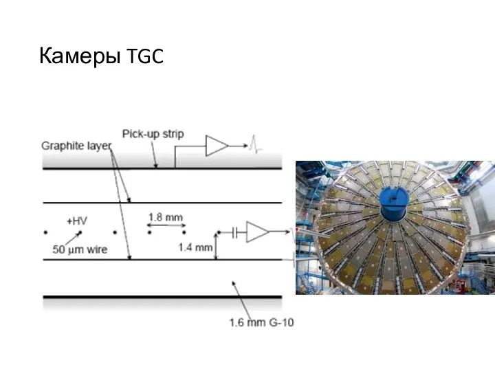 Камеры TGC