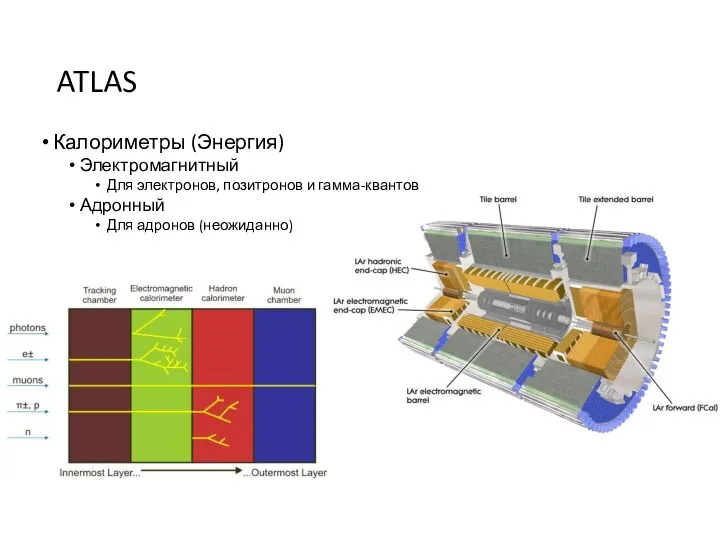 ATLAS Калориметры (Энергия) Электромагнитный Для электронов, позитронов и гамма-квантов Адронный Для адронов (неожиданно)