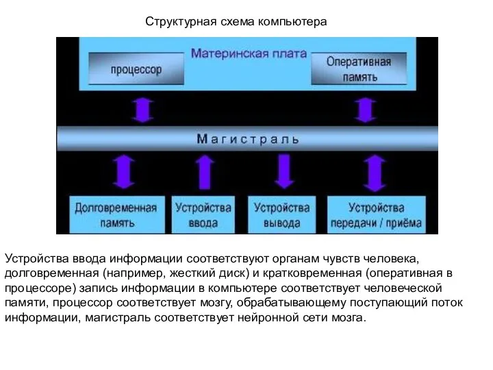 Структурная схема компьютера Устройства ввода информации соответствуют органам чувств человека, долговременная