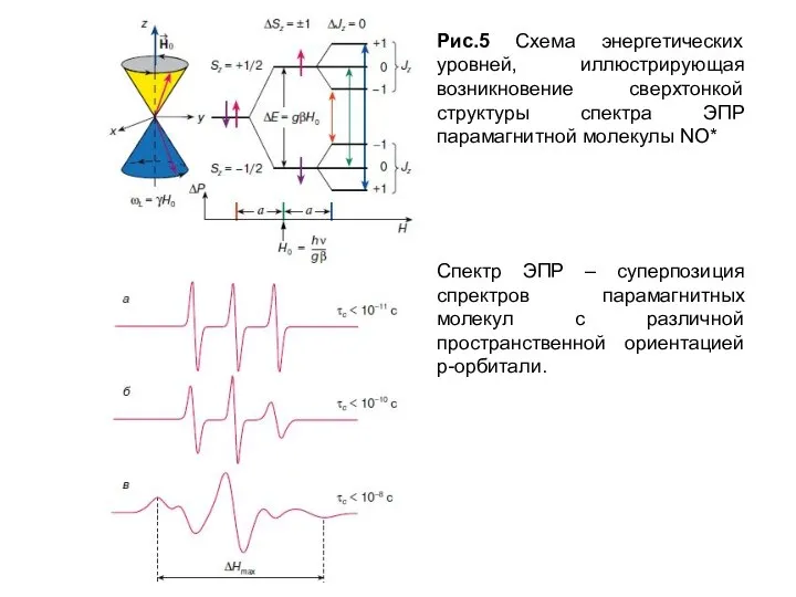 Рис.5 Схема энергетических уровней, иллюстрирующая возникновение сверхтонкой структуры спектра ЭПР парамагнитной