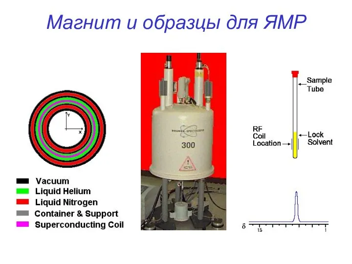 Магнит и образцы для ЯМР