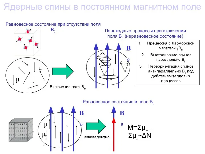 Ядерные спины в постоянном магнитном поле B0 μ- μ+ B0 Μ=Σμ+