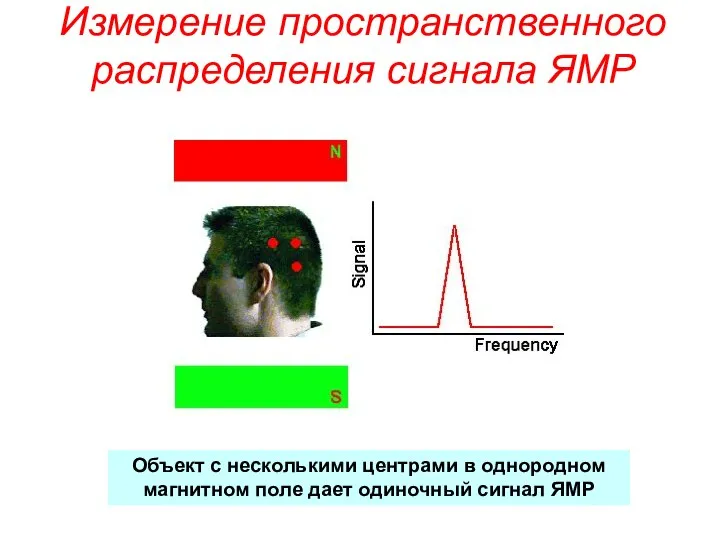 Измерение пространственного распределения сигнала ЯМР Объект с несколькими центрами в однородном