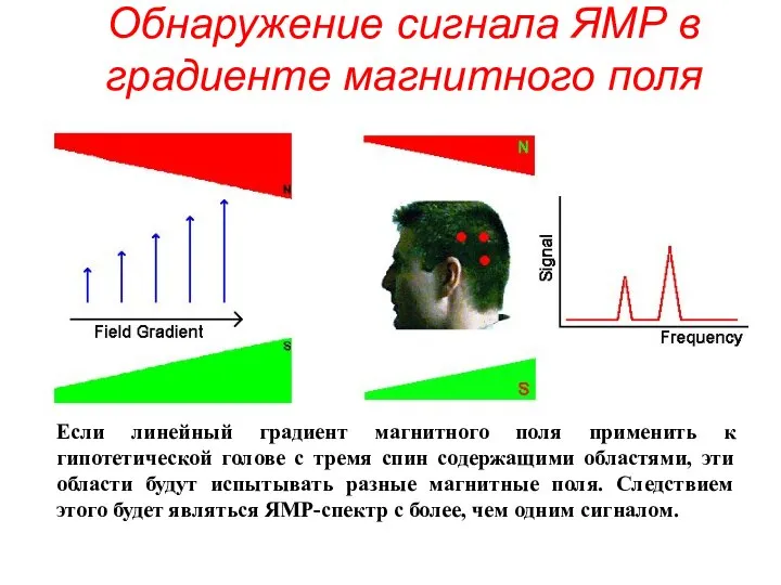 Обнаружение сигнала ЯМР в градиенте магнитного поля Если линейный градиент магнитного