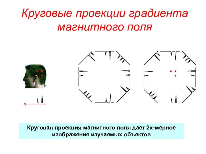 Круговые проекции градиента магнитного поля Круговая проекция магнитного поля дает 2х-мерное изображение изучаемых объектов