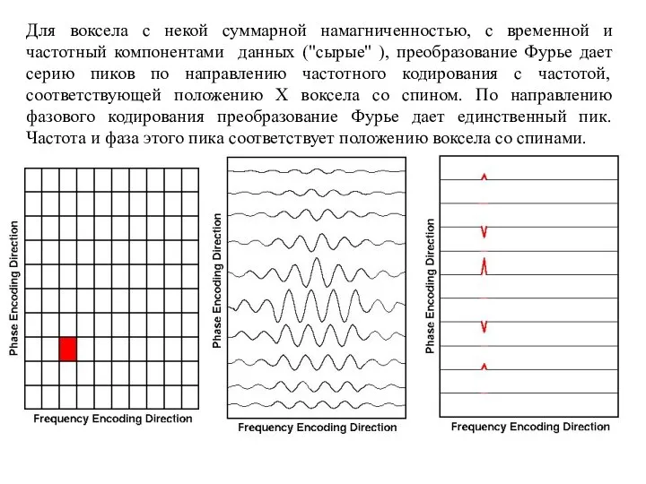 Для воксела с некой суммарной намагниченностью, с временной и частотный компонентами