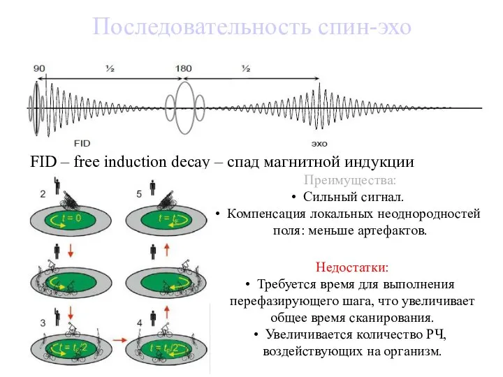 Последовательность спин-эхо FID – free induction decay – спад магнитной индукции