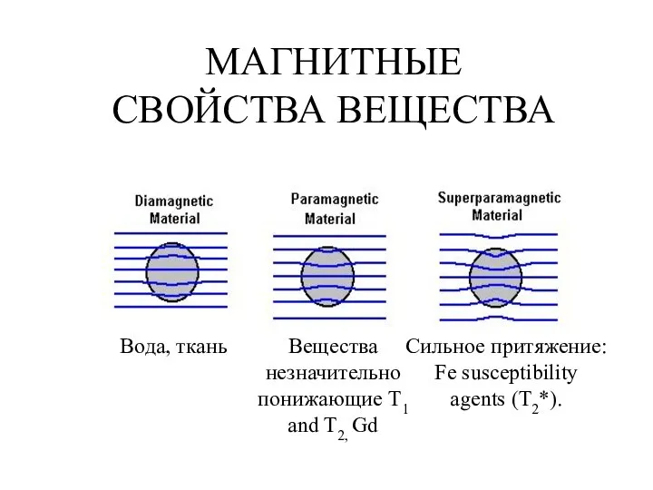 МАГНИТНЫЕ СВОЙСТВА ВЕЩЕСТВА Вода, ткань Вещества незначительно понижающие T1 and T2,