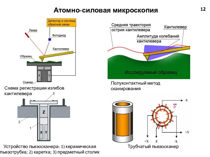 Атомно-силовая микроскопия 12 Схема регистрации изгибов кантилевера Устройство пьезосканера: 1) керамическая