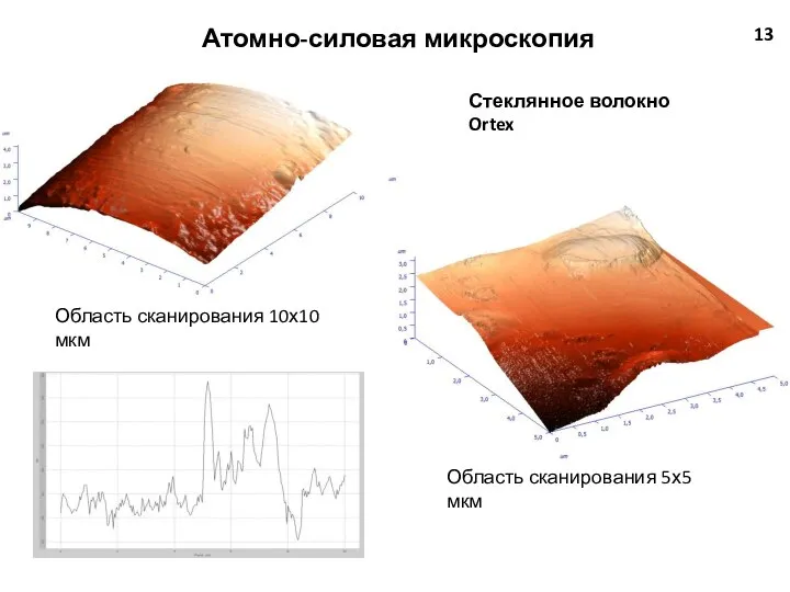 13 Атомно-силовая микроскопия Область сканирования 10х10 мкм Область сканирования 5х5 мкм Стеклянное волокно Ortex