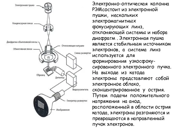 Электронно-оптическая колонна РЭМсостоит из электронной пушки, нескольких электромагнитных фокусирующих линз, отклоняющей