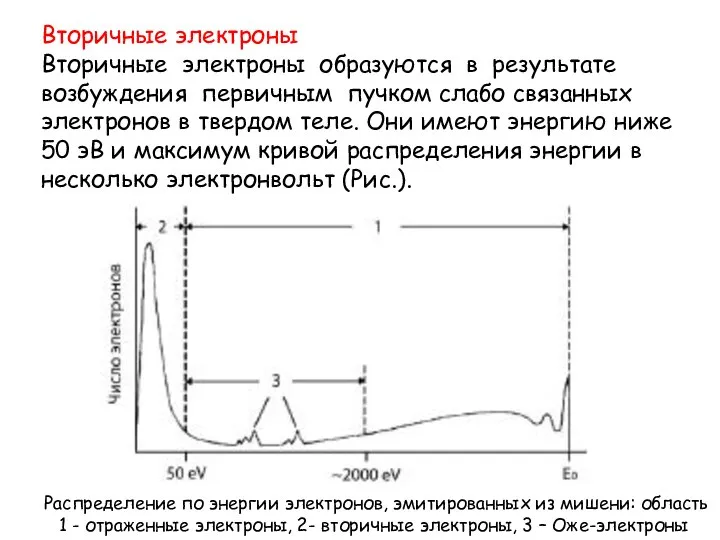 Вторичные электроны Вторичные электроны образуются в результате возбуждения первичным пучком слабо