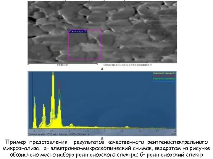 Пример представления результатов качественного рентгеноспектрального микроанализа: а− электронно-микроскопический снимок, квадратом на