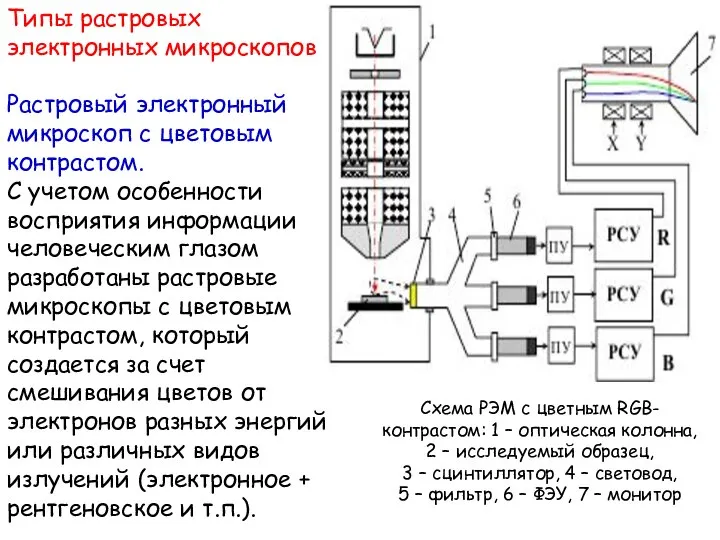 Типы растровых электронных микроскопов Растровый электронный микроскоп с цветовым контрастом. С