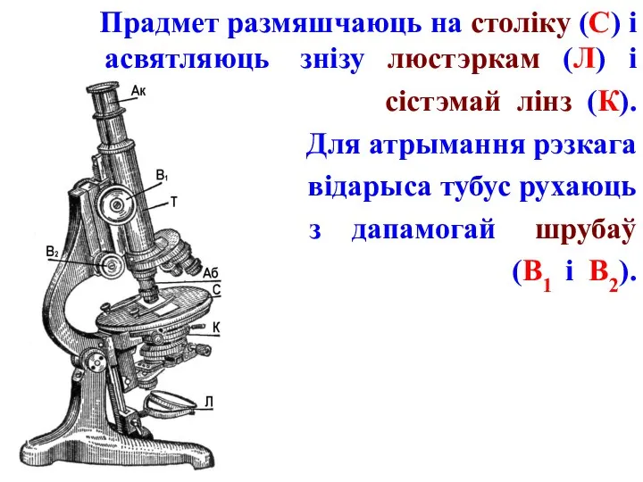 Прадмет размяшчаюць на століку (С) і асвятляюць знізу люстэркам (Л) і