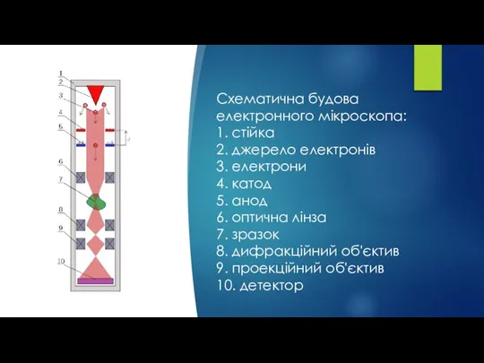 Схематична будова електронного мікроскопа: 1. стійка 2. джерело електронів 3. електрони