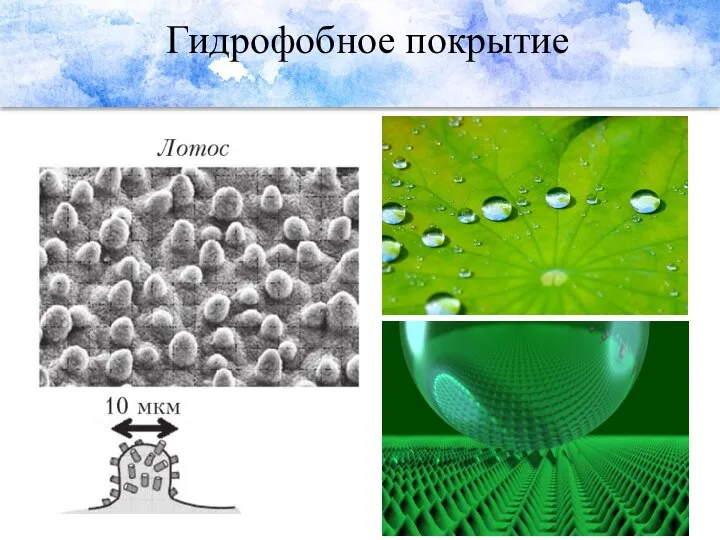 Гидрофобное покрытие