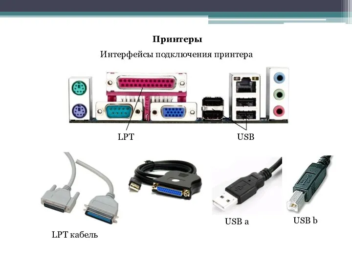 Принтеры Интерфейсы подключения принтера LPT USB USB a USB b LPT кабель