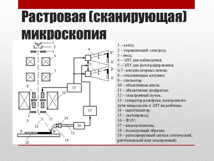 Растровая (сканирующая) микроскопия 1 – катод; 2 – управляющий электрод; 3