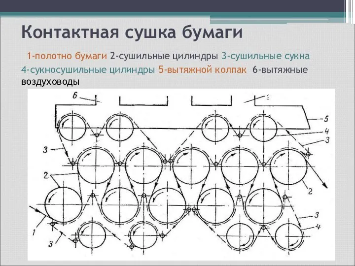 Контактная сушка бумаги 1-полотно бумаги 2-сушильные цилиндры 3-сушильные сукна 4-сукносушильные цилиндры 5-вытяжной колпак 6-вытяжные воздуховоды