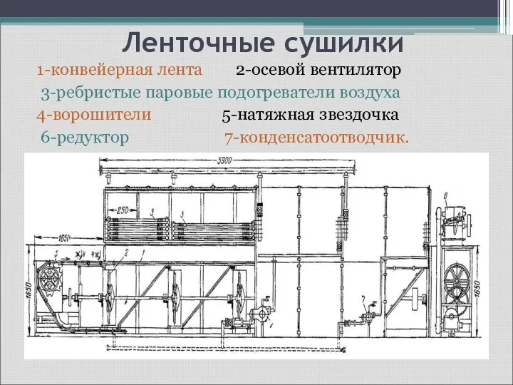 Ленточные сушилки 1-конвейерная лента 2-осевой вентилятор 3-ребристые паровые подогреватели воздуха 4-ворошители 5-натяжная звездочка 6-редуктор 7-конденсатоотводчик.