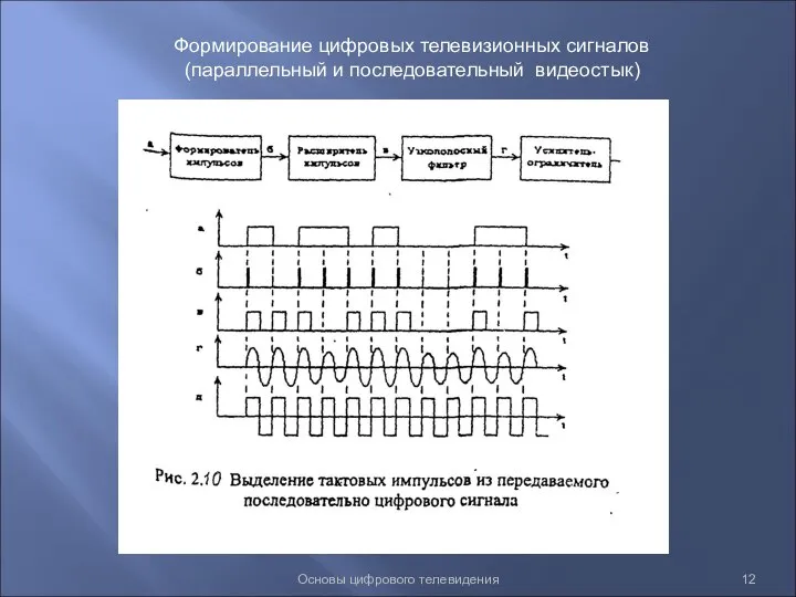 Основы цифрового телевидения Формирование цифровых телевизионных сигналов (параллельный и последовательный видеостык)