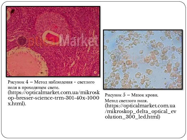 Рисунок 4 – Метод наблюдения - светлого поля в проходящем свете.