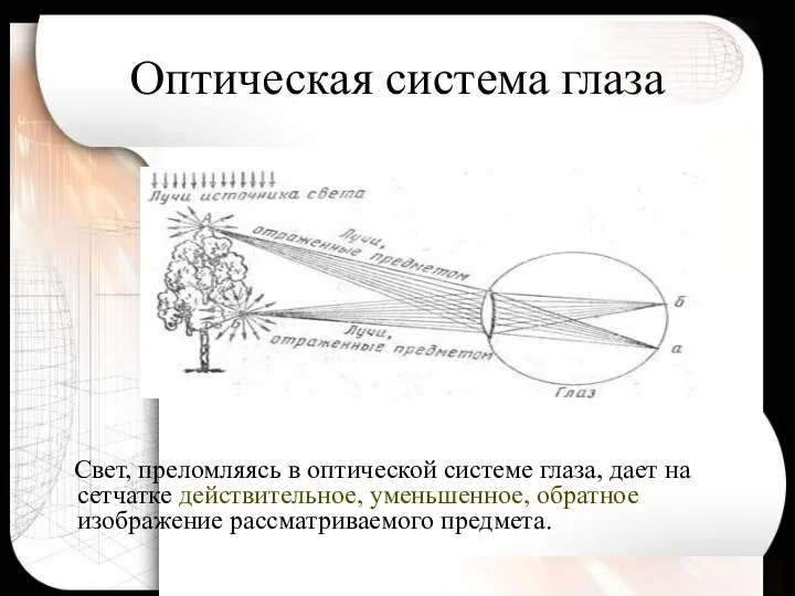 Оптическая система глаза Свет, преломляясь в оптической системе глаза, дает на