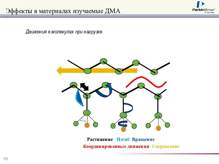 Эффекты в материалах изучаемые ДМА Движения в молекулах при нагрузке