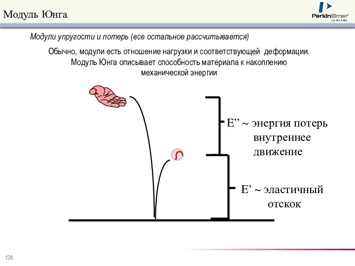 Модуль Юнга Обычно, модули есть отношение нагрузки и соответствующей деформации. Модуль