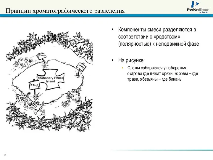 Принцип хроматографического разделения Компоненты смеси разделяются в соответствии с «родством» (полярностью)