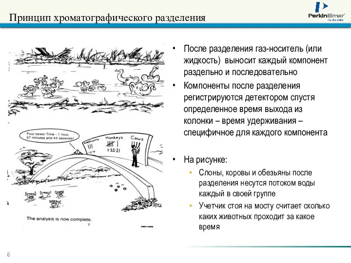 Принцип хроматографического разделения После разделения газ-носитель (или жидкость) выносит каждый компонент