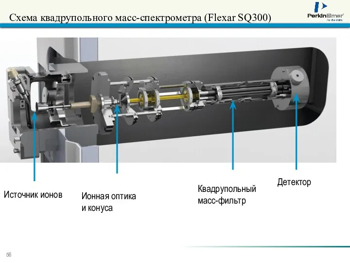 Схема квадрупольного масс-спектрометра (Flexar SQ300) Источник ионов Ионная оптика и конуса Квадрупольный масс-фильтр Детектор