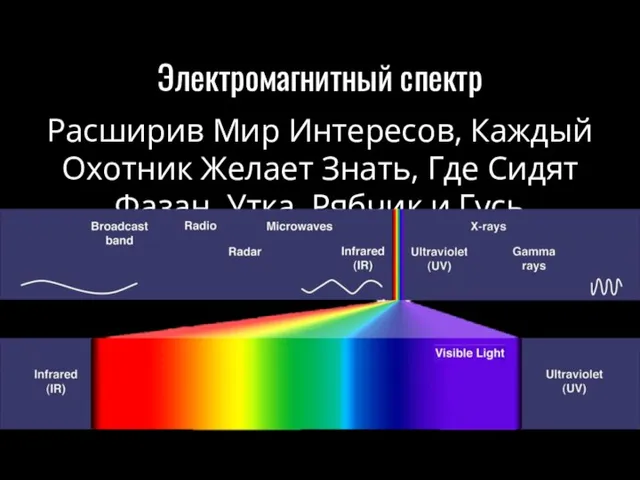 Электромагнитный спектр Расширив Мир Интересов, Каждый Охотник Желает Знать, Где Сидят Фазан, Утка, Рябчик и Гусь