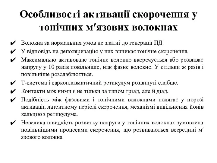 Особливості активації скорочення у тонічних м′язових волокнах Волокна за нормальних умов