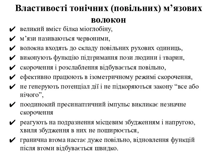 Властивості тонічних (повільних) м’язових волокон великий вміст білка міоглобіну, м’язи називаються