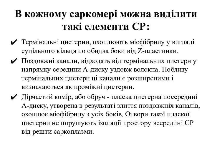 В кожному саркомері можна виділити такі елементи СР: Термінальні цистерни, охоплюють