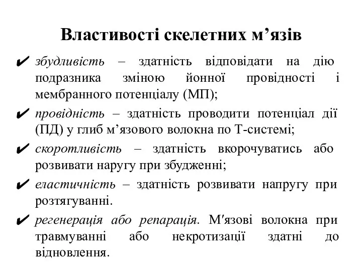 Властивості скелетних м’язів збудливість – здатність відповідати на дію подразника зміною