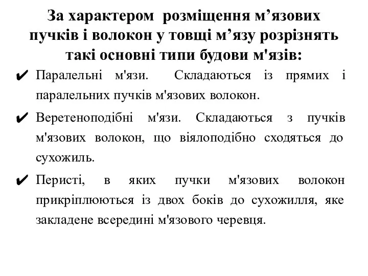 За характером розміщення м’язових пучків і волокон у товщі м’язу розрізнять